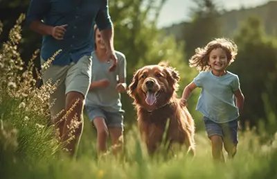 Urlaub mit Hund im Appartement